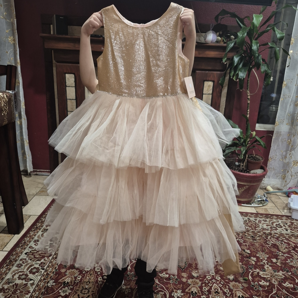 Tip Top Elegant Gold and Pech Kids Costume Dress